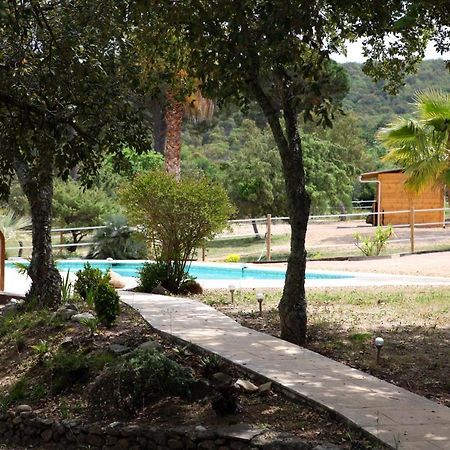 Villa Villekulla Dependance Avec Spa Privatif Le Plan-de-la-Tour Экстерьер фото